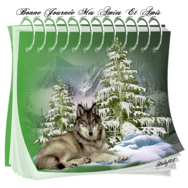 CADEAUX HOLAF